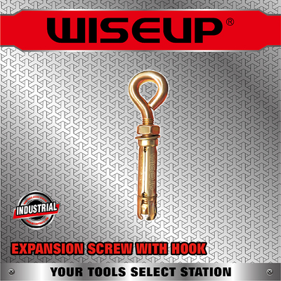 EXPANSION SCREW WITH HOOK 122308