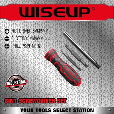 6iN1 SCREWDRIVER SET
