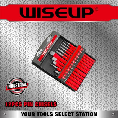 12PCS PIN CHISELS