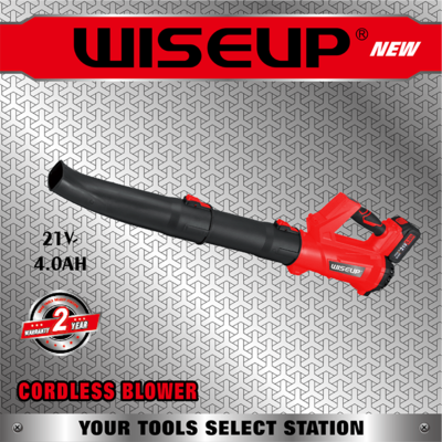 CORDLESS BLOWER171411